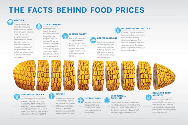 food infographic